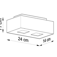Plafondspot MONO 2 wit