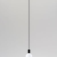 Hanglamp EDISON zwart