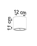 Plafondspot TIUBE grijs 