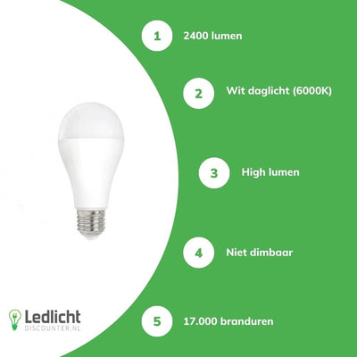 Lampadina LED Spectrum E27 20W 2400 lumen 6000K bianco freddo 230V 160° alta luminosità non dimmerabile