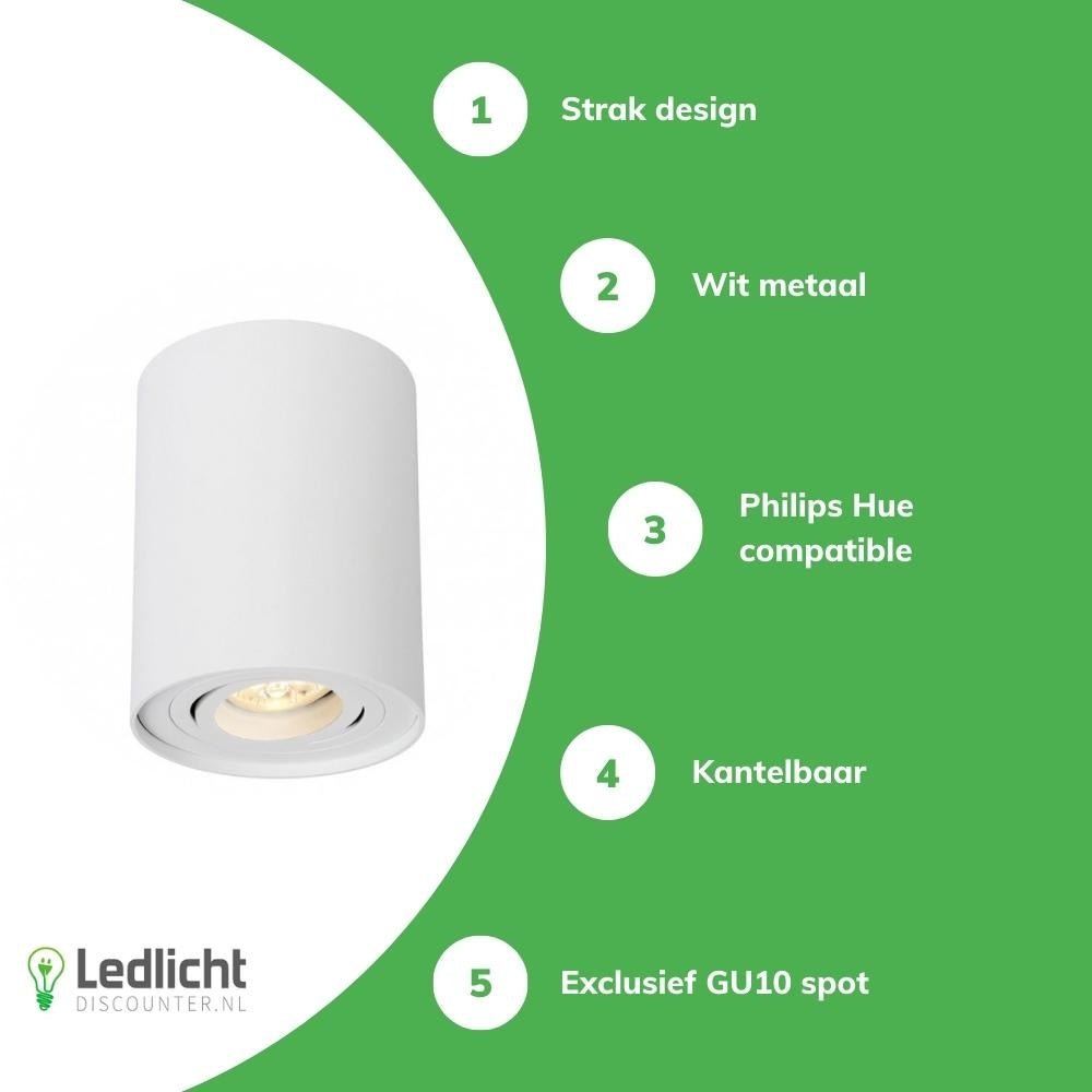 Spectrum buis ronde witte LED plafondspot met verstelbare GU10 fitting