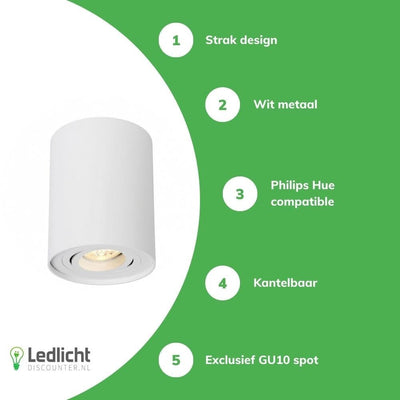 Spectrum buis ronde witte LED plafondspot met verstelbare GU10 fitting