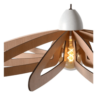 Lucide Zidane LED hanglamp 60 mm diameter e27 fitting wit