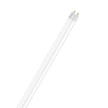 Ledvance LED Tubo T8 EM S 1500mm 17.7W 6500K 3100 lumen G13 IP20 190° Vetro con protezione antischegge