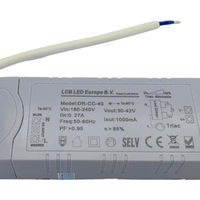 Lcb dimbare LED-driver voor 36W/40W LED-paneel, 30-42V 1000mA, IP20, triac fasedimming