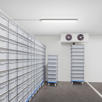 Philips WT060C LED waterdichte lichtlijn, 46W 4000K, 5600 lumen, IP66 IK08, 1558mm Grijs