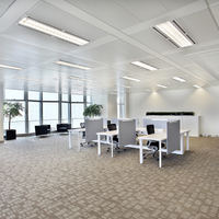 Philips MAS LEDtube 1200mm T8 G13 ROT 16W 3000K light, 2350 lumens, dimmable, energy-efficient, long lifespan