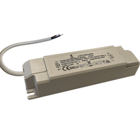 Tsong led paneel driver 40w 27-42v 1000ma niet-dimbaar