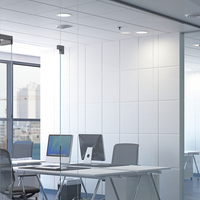 Philips LED downlight 24W 4000K 2400 lumens IP54 UGR19 CRI80 220-240V cut-out 200mm Black