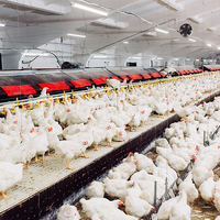 Philips CoreLine WT210C luz LED hermética, 39W 4000K 5000 lúmenes, IP68 IK10, carcasa de policarbonato de 1315mm