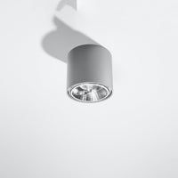 Plafondspot TIUBE grijs 