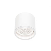 Chloe AR111 GU10 IP65 ronde LED spot buiten en binnen Spectrum lamp witte behuizing 17000 uur 250V 120-115 mm