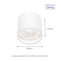 Chloe AR111 GU10 IP65 ronde LED spot buiten en binnen Spectrum lamp witte behuizing 17000 uur 250V 120-115 mm