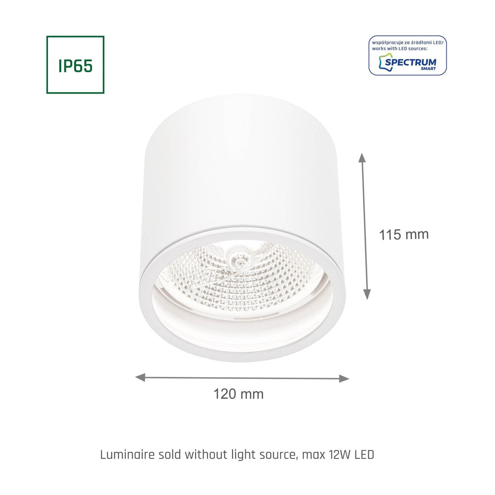 Chloe AR111 GU10 IP65 ronde LED spot buiten en binnen Spectrum lamp witte behuizing 17000 uur 250V 120-115 mm