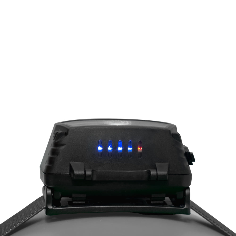 Lampada frontale Technik H15 ricaricabile LED 300 lumen IP44 con USB Type-C e sensore di movimento